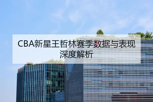 CBA新星王哲林赛季数据与表现深度解析